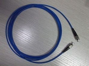 信息时代的神经 光缆技术与发展